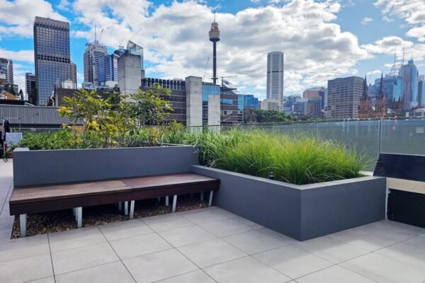 PHOTO-2024-07-17-12-45-28-3