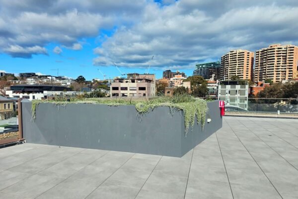 PHOTO-2024-07-17-12-45-29-3